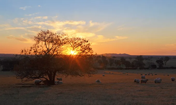A sunset in a over a reginal NSW affordable suburb.