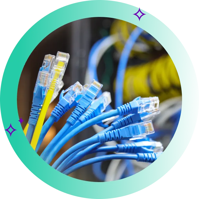 A bundle of ethernet cable connectors