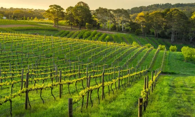 Best place to live in South Australia