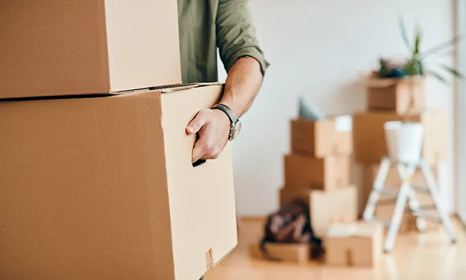 Source: Drazen Zigic/Shutterstock.com