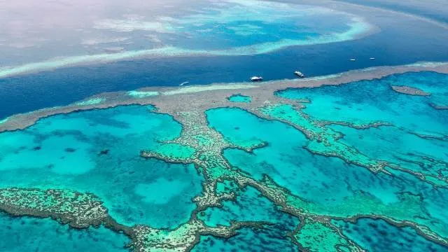 The Great Barrier Reef, off the coast of Australia.