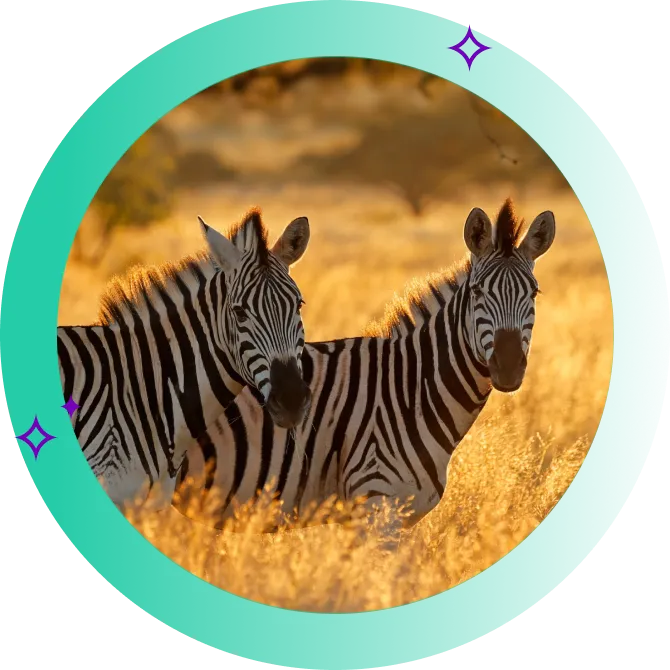 South Africa Travel Insurance