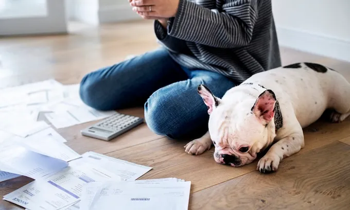 Dog and owner calculating how much it costs to own a dog