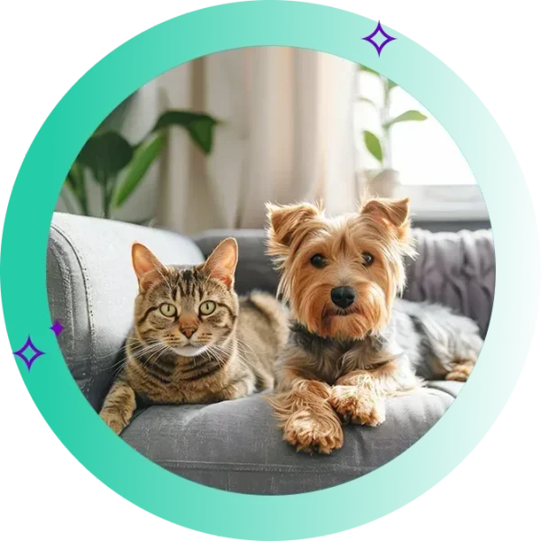 Dog and Cat sitting next to each other on the couch