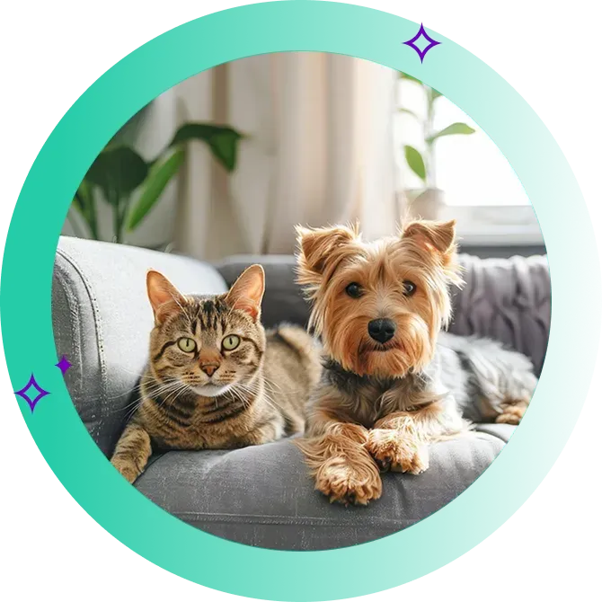 Dog and Cat sitting next to each other on the couch