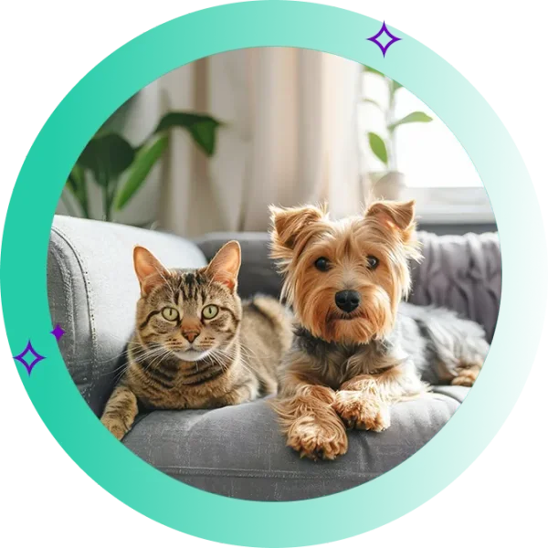 Dog and Cat sitting next to each other on the couch
