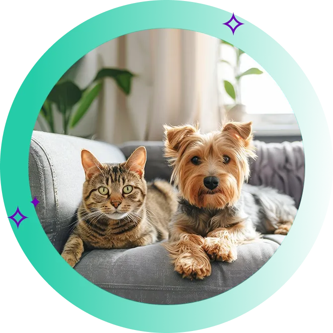 Dog and Cat sitting next to each other on the couch