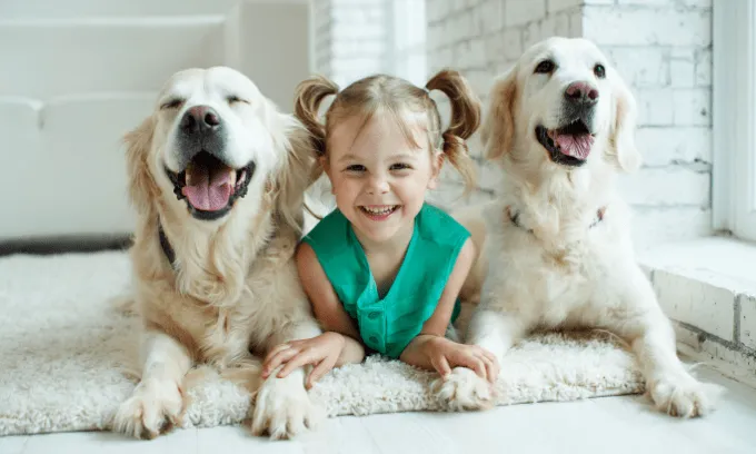 5 common pet insurance questions answered