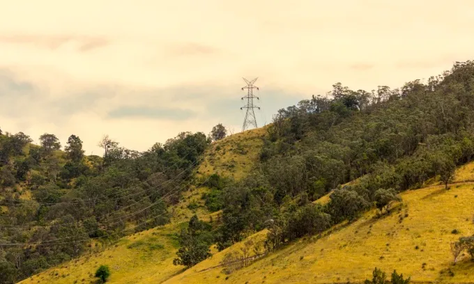 Red Energy Plans and Prices