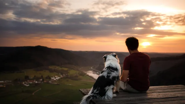 A man with a dog at sunset.