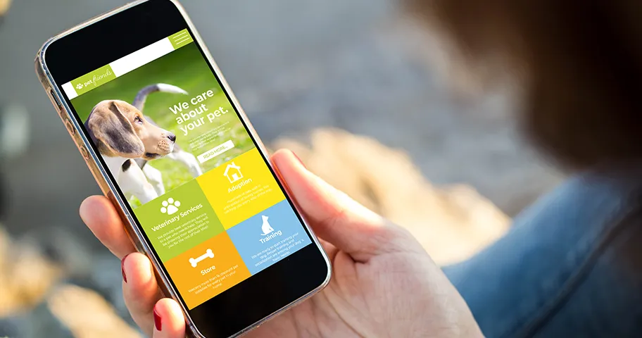 Close-up view of young woman browsing pet website on her mobile phone