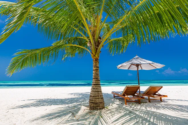 Palm tree, two sun loungers and shade umbrella on tropical beach
