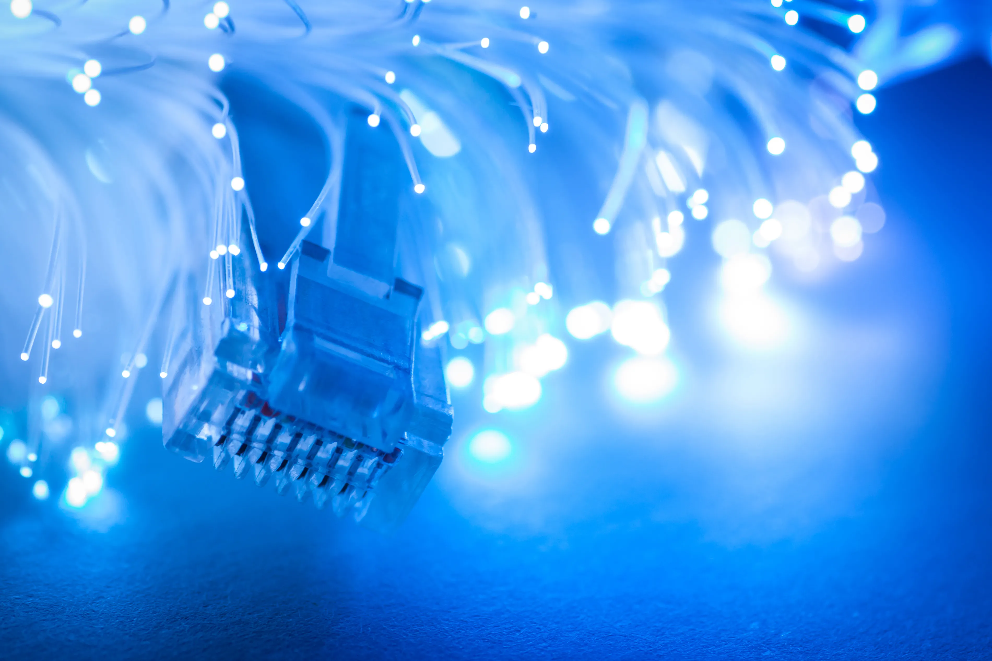 Source: Vladimir Arndt/Shutterstock.com