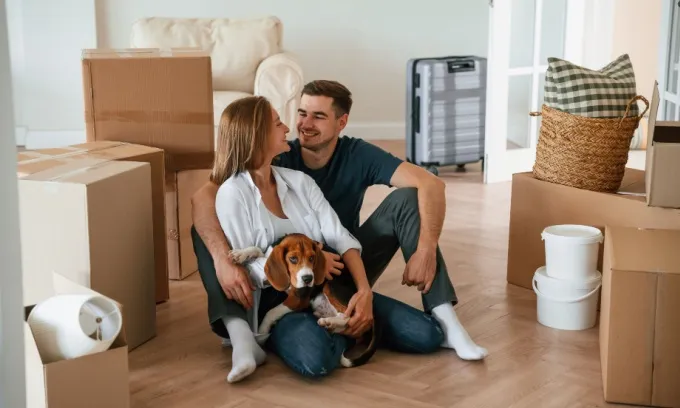 What type of pet is right for you to get