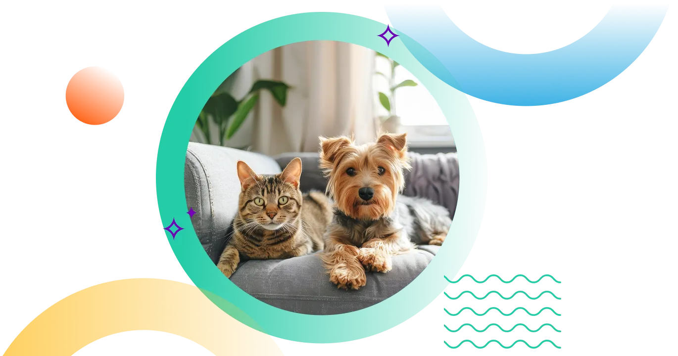 Dog and Cat on couch
