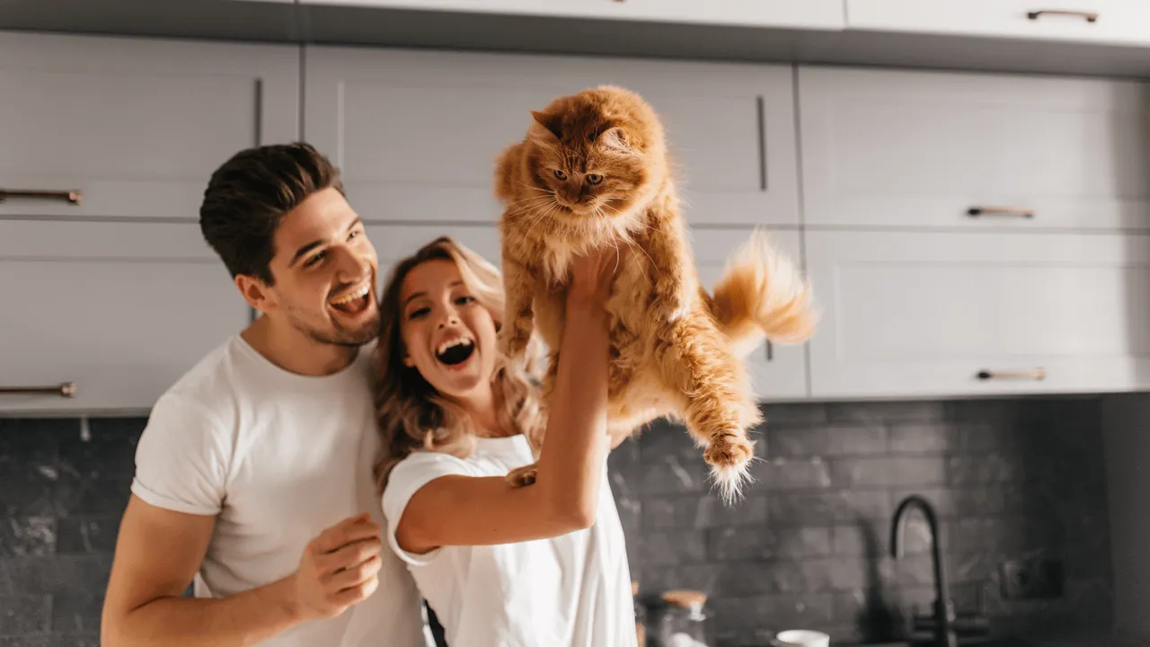Couple in kitchen with ginger cat - pet insurance 