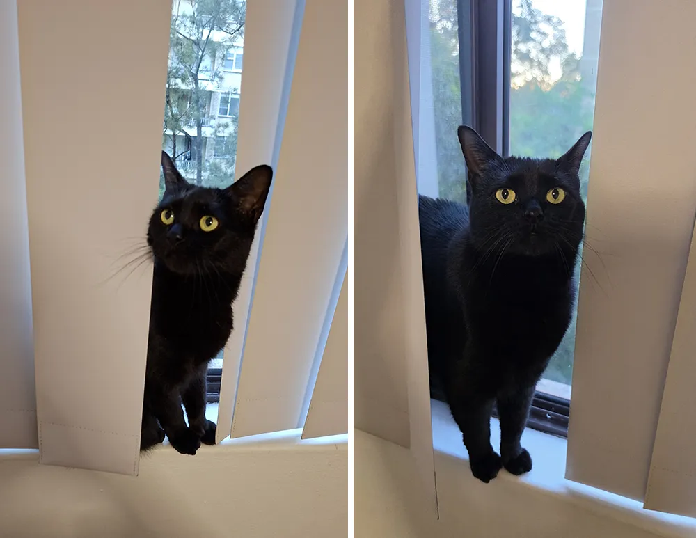 Left: Samsung Galaxy A57 5G. Right: Samsung Galaxy S26 Ultra.